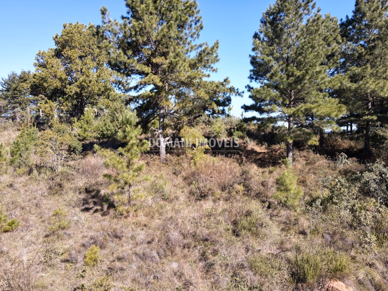 Plot of 1.470 m² in Campos do Jordão, SP, Brazil