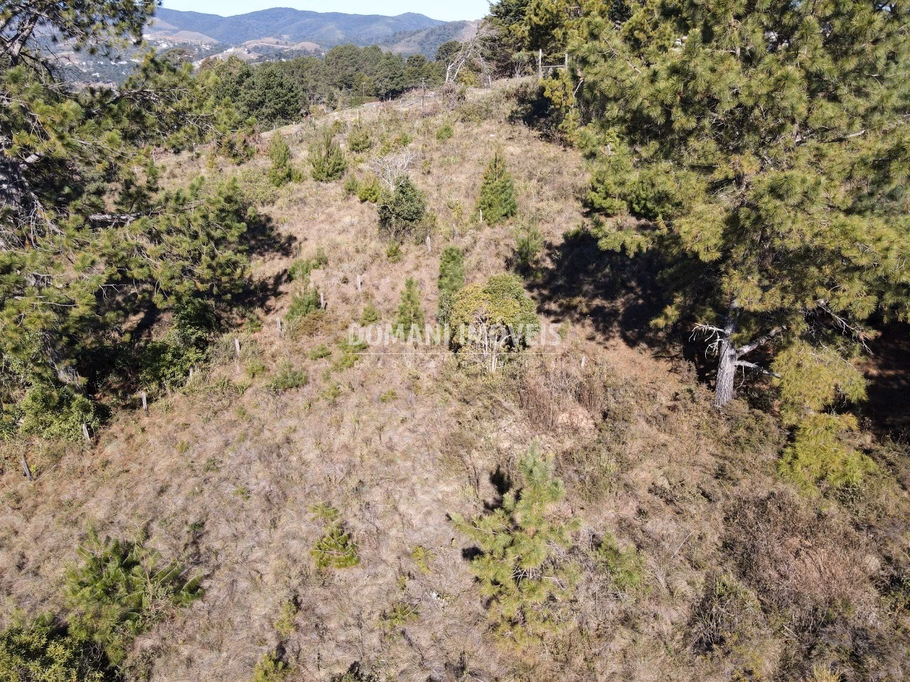 Terreno de 1.470 m² em Campos do Jordão, SP