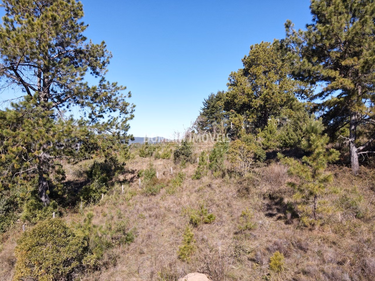 Terreno de 1.470 m² em Campos do Jordão, SP