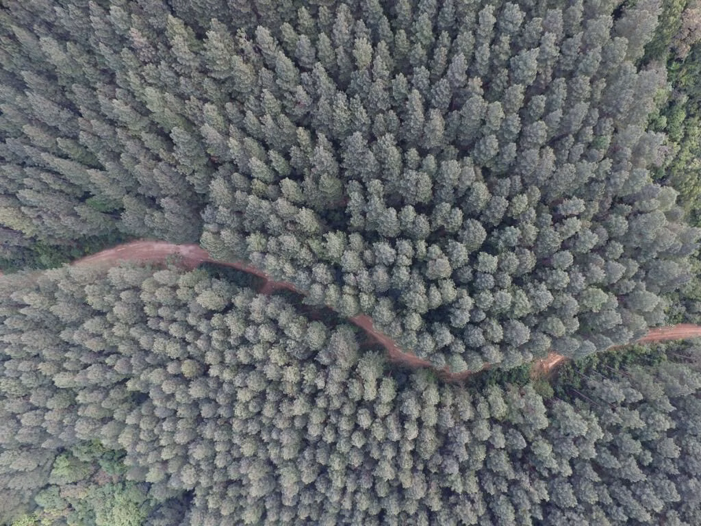 Farm of 1.292 acres in Grão-Pará, SC, Brazil