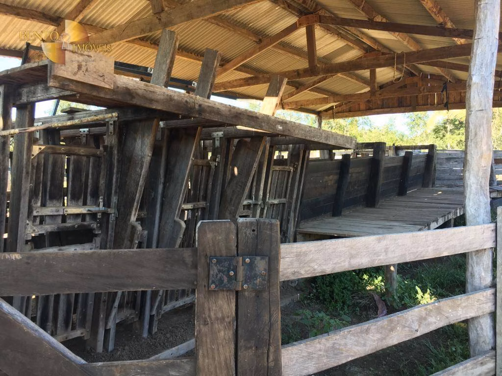Fazenda de 200 ha em Nobres, MT