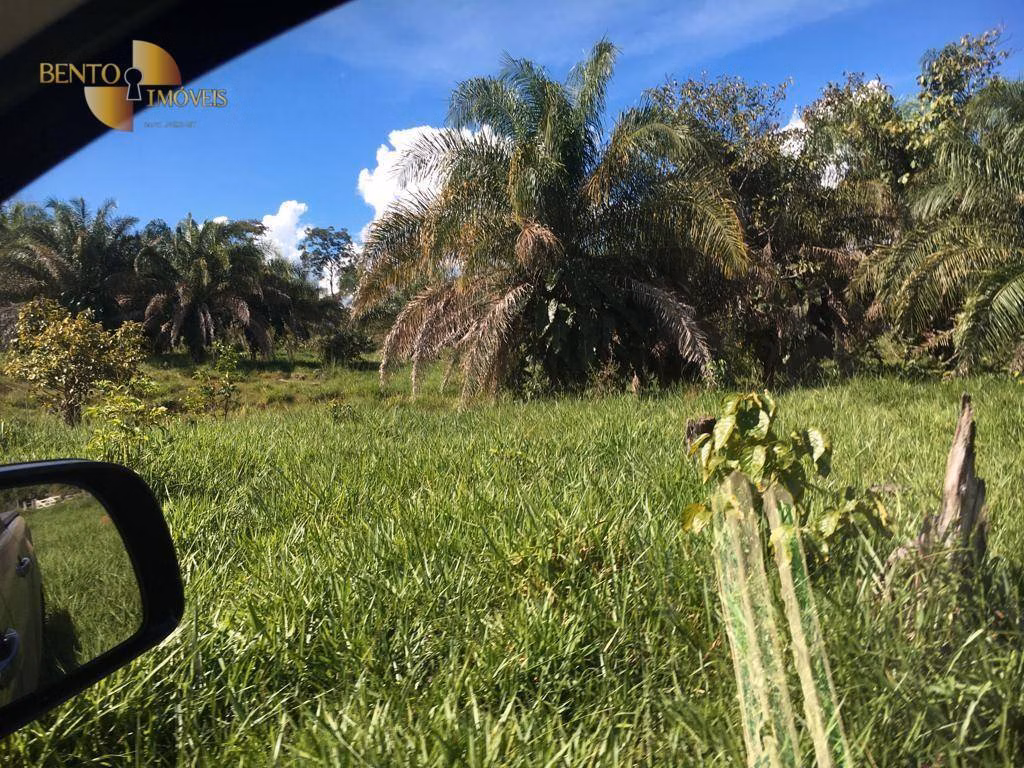 Fazenda de 200 ha em Nobres, MT