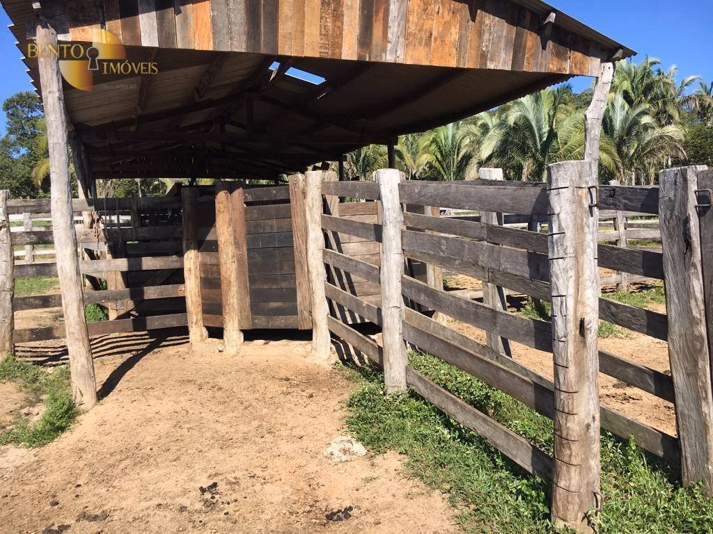 Fazenda de 200 ha em Nobres, MT
