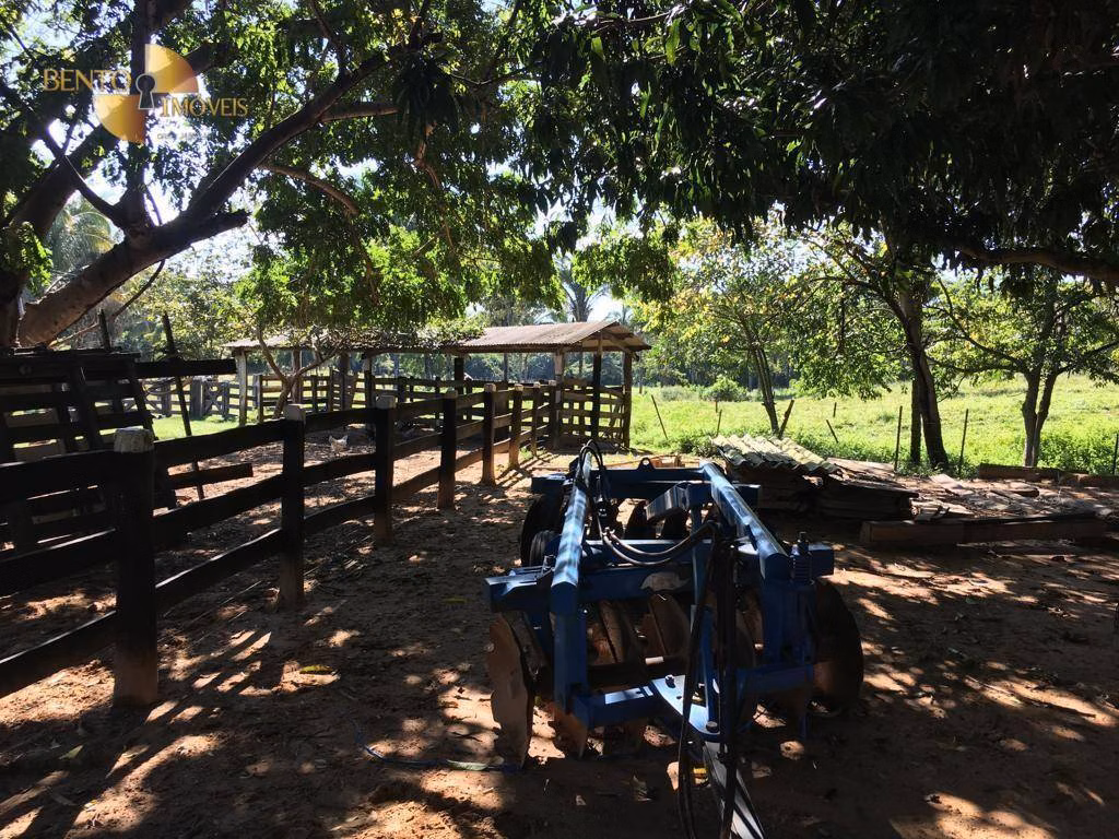 Fazenda de 200 ha em Nobres, MT