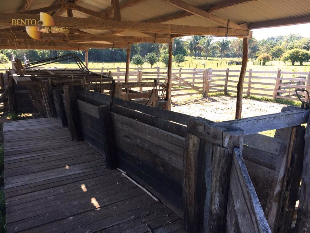 Fazenda de 200 ha em Nobres, MT