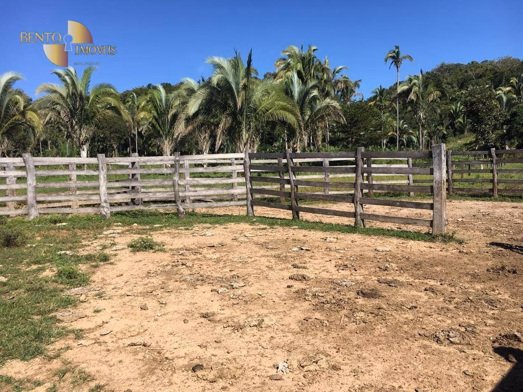 Fazenda de 200 ha em Nobres, MT