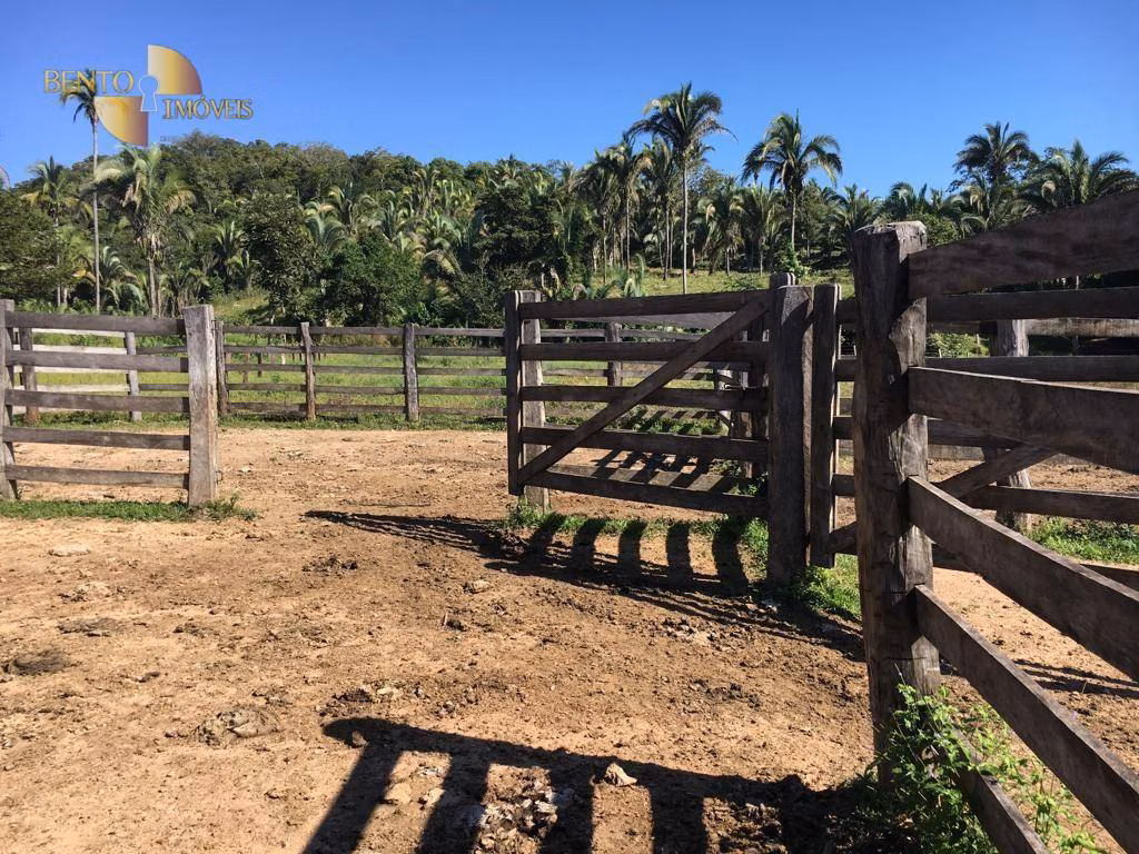 Fazenda de 200 ha em Nobres, MT