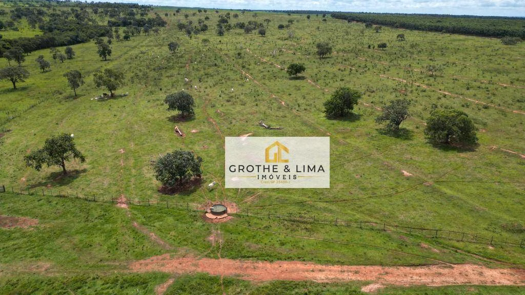 Fazenda de 249 ha em Aparecida do Taboado, MS