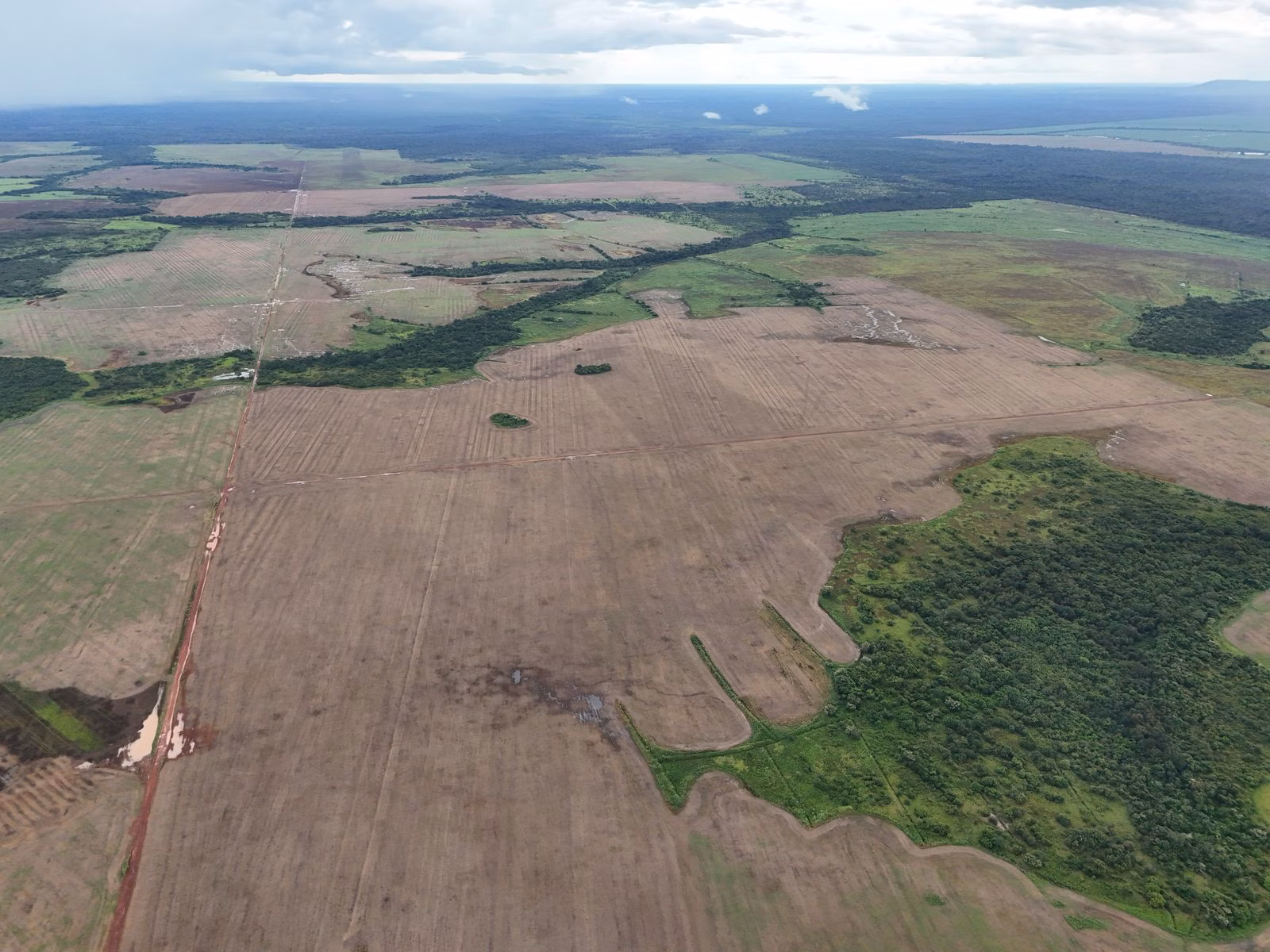 Fazenda de 39.000 ha em Confresa, MT