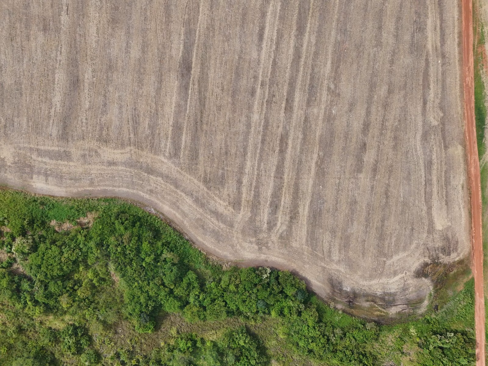 Fazenda de 39.000 ha em Confresa, MT