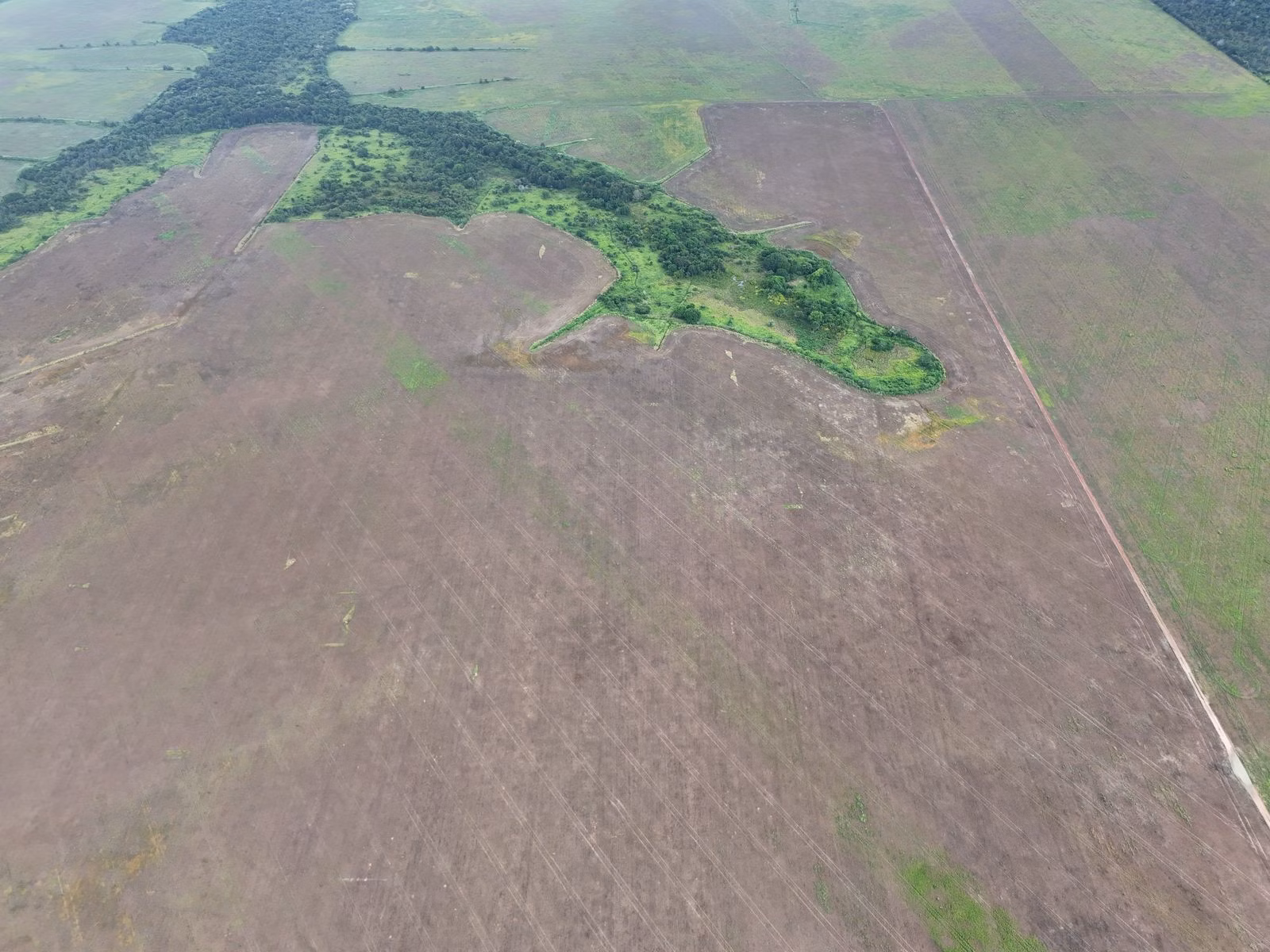 Fazenda de 39.000 ha em Confresa, MT