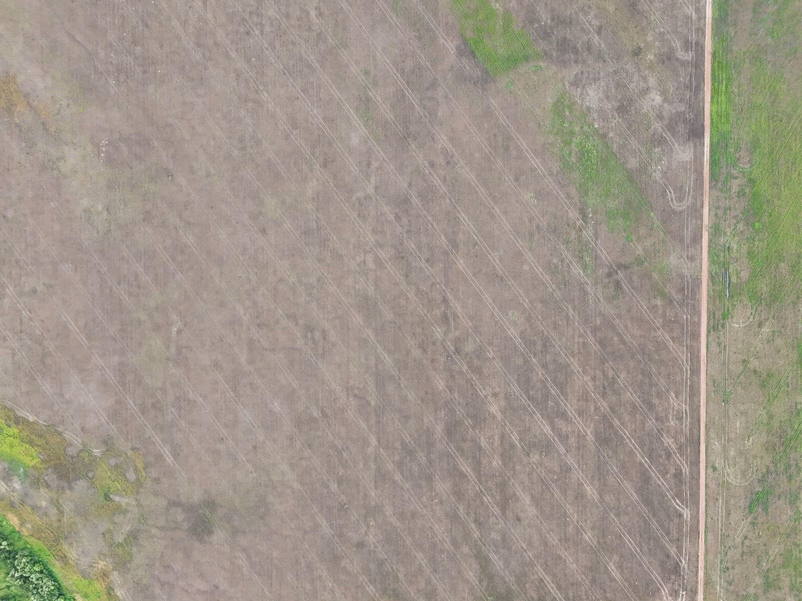 Fazenda de 39.000 ha em Confresa, MT