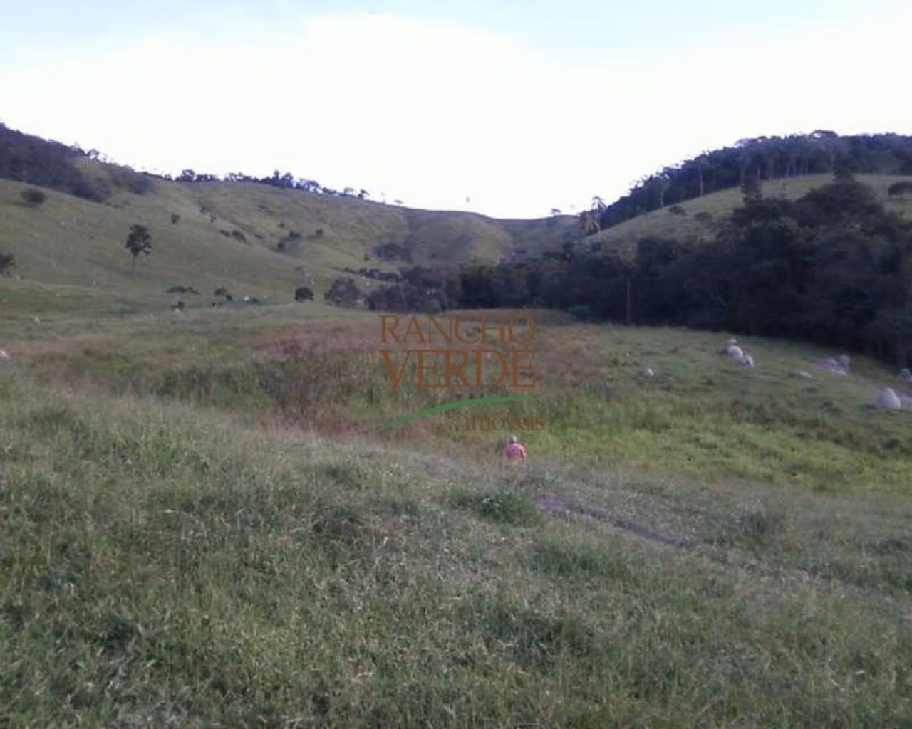 Fazenda de 126 ha em Redenção da Serra, SP