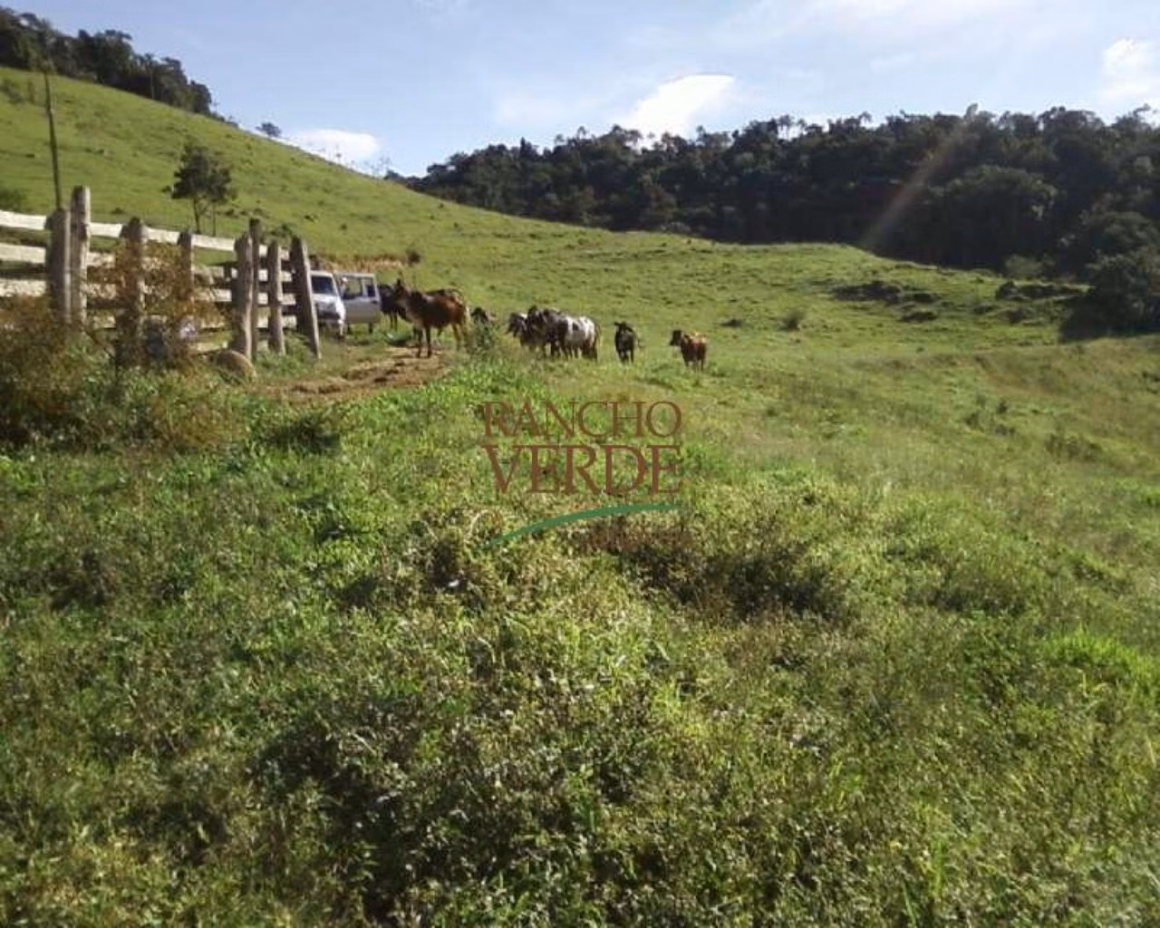 Fazenda de 126 ha em Redenção da Serra, SP