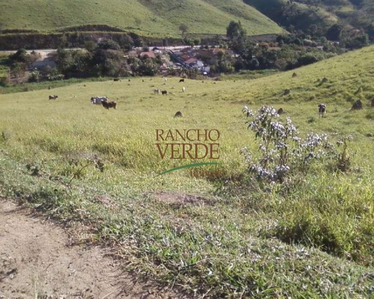 Fazenda de 126 ha em Redenção da Serra, SP
