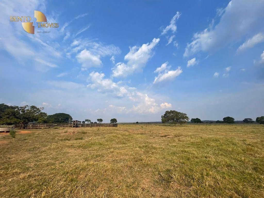 Fazenda de 1.200 ha em Diamantino, MT