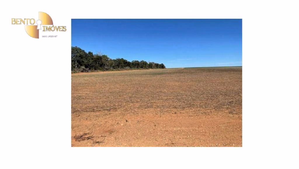 Fazenda de 4.900 ha em Diamantino, MT