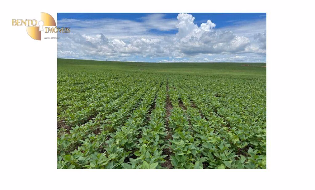 Fazenda de 4.900 ha em Diamantino, MT