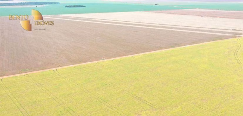 Fazenda de 4.900 ha em Diamantino, MT