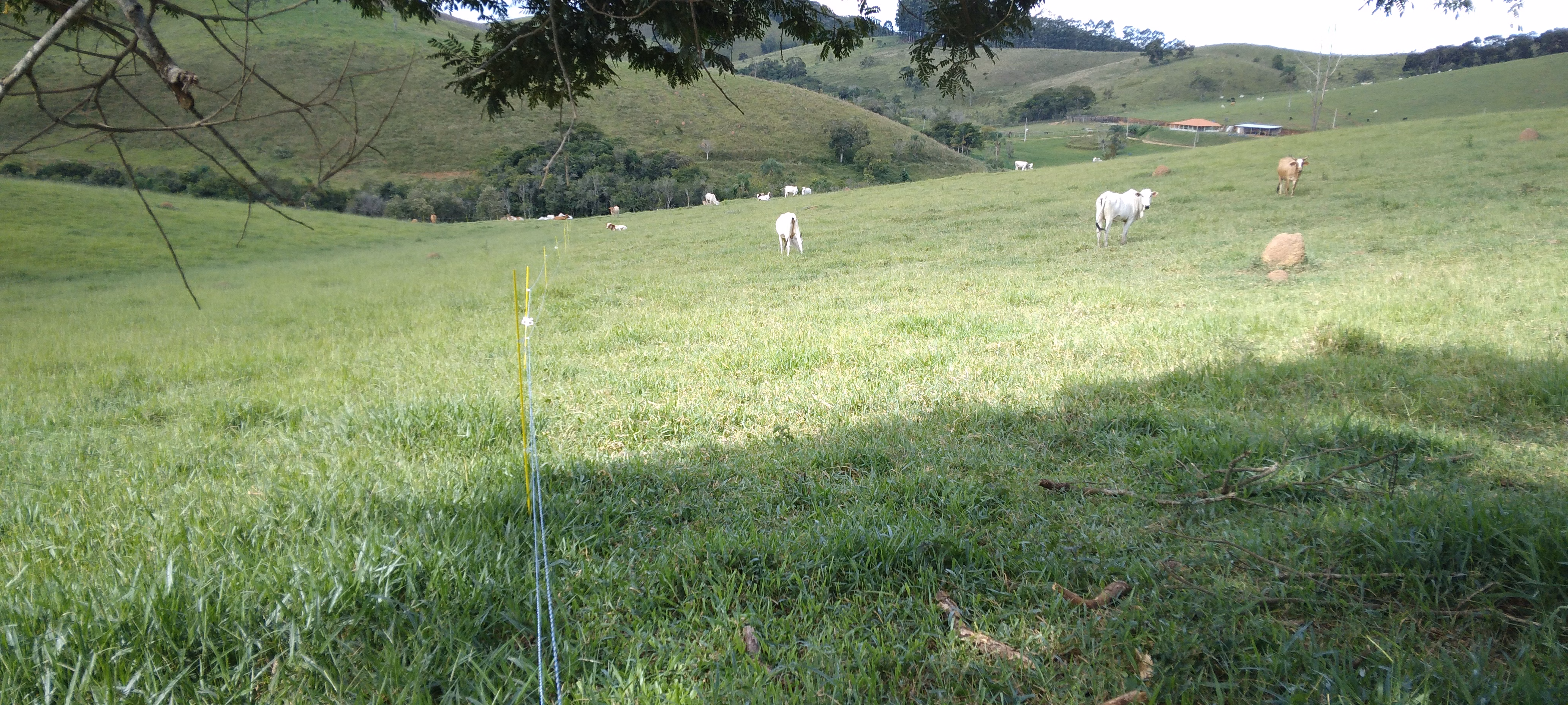 Small farm of 52 acres in Lagoinha, SP, Brazil