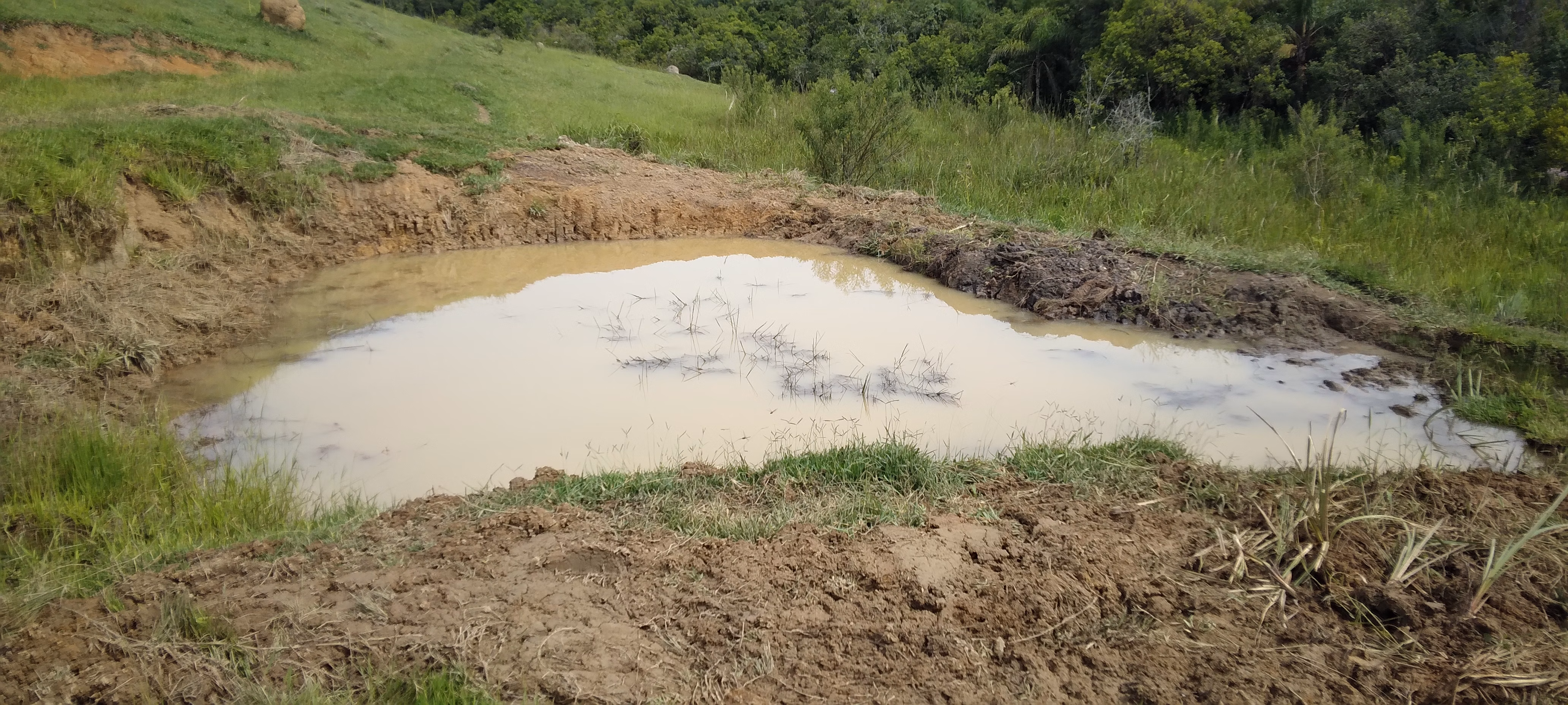 Small farm of 52 acres in Lagoinha, SP, Brazil