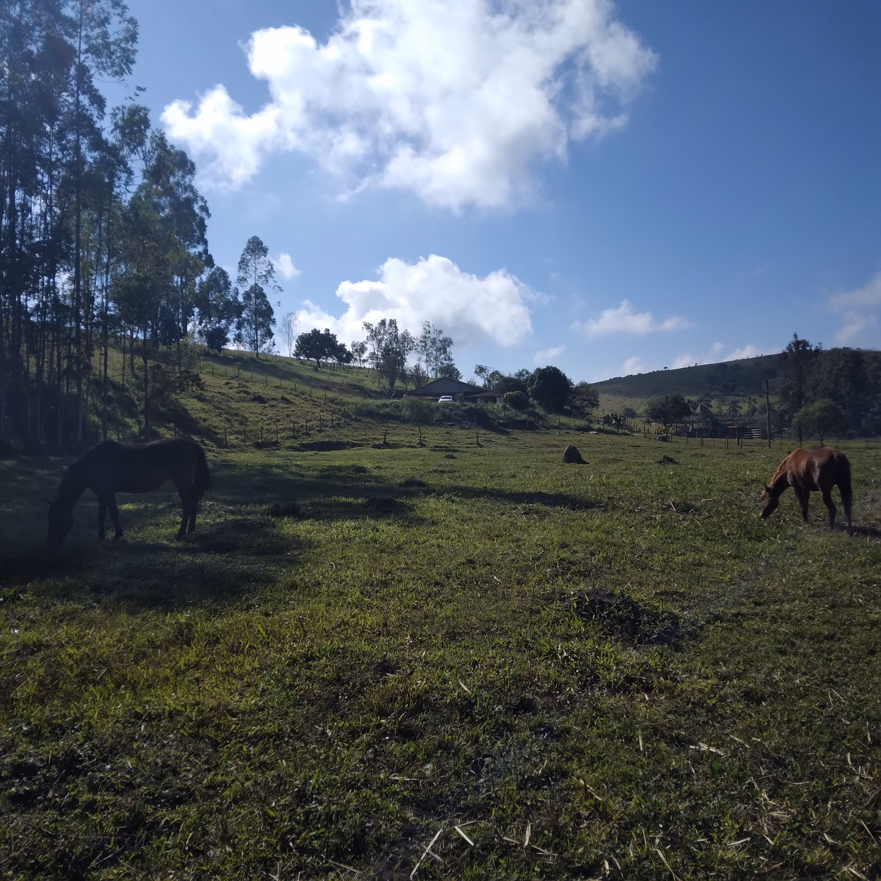 Small farm of 52 acres in Lagoinha, SP, Brazil