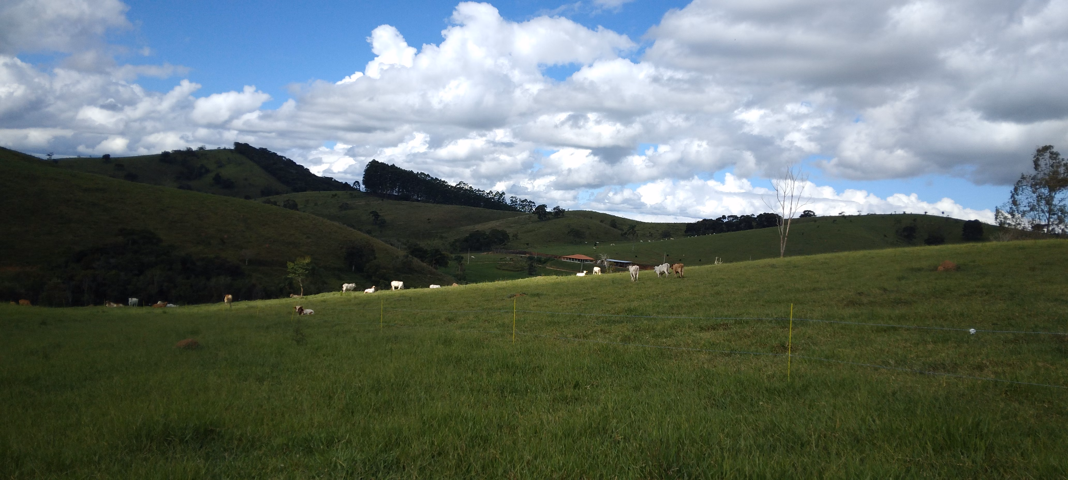 Small farm of 52 acres in Lagoinha, SP, Brazil