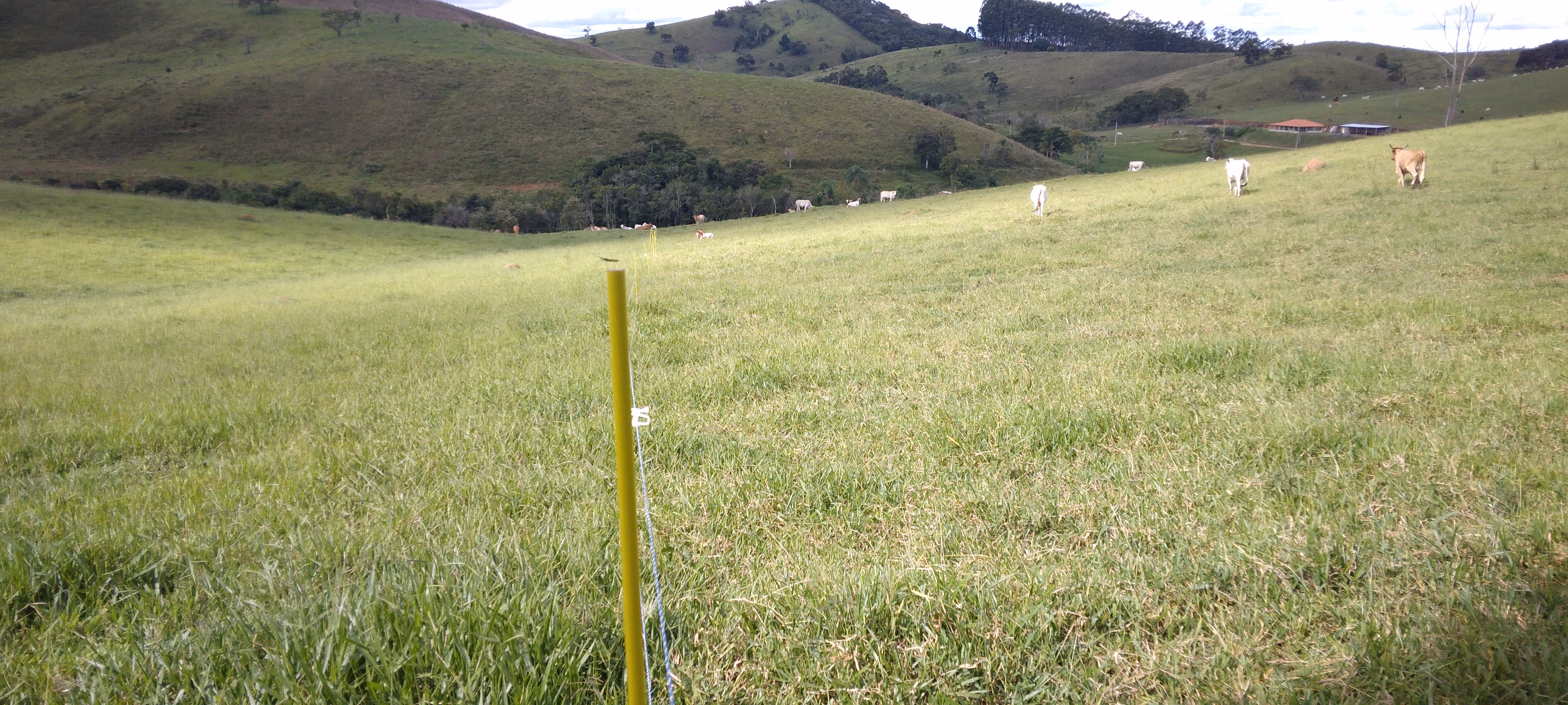 Small farm of 52 acres in Lagoinha, SP, Brazil