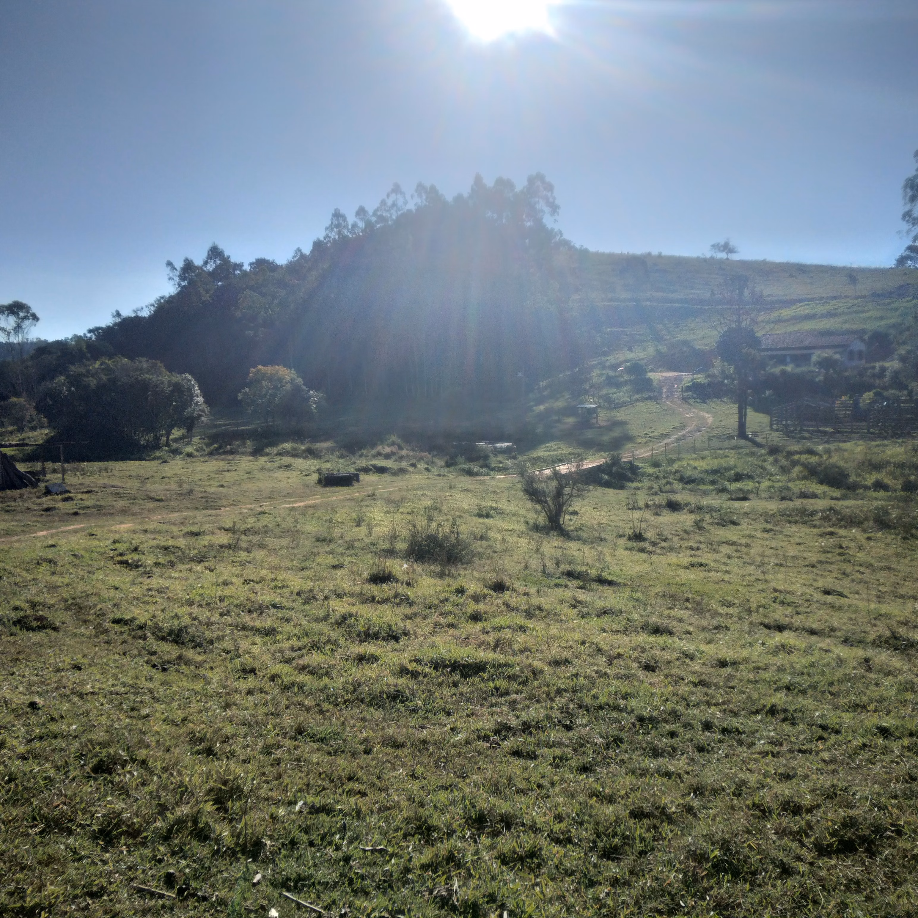 Small farm of 52 acres in Lagoinha, SP, Brazil