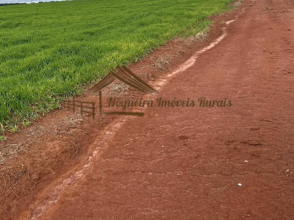 Fazenda à venda de 116 ha em Avaré, SP