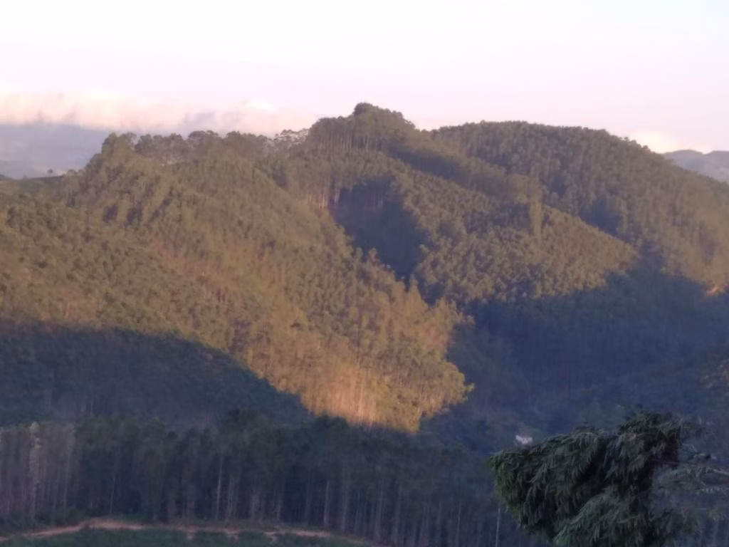 Chácara de 2 ha em Paraibuna, SP