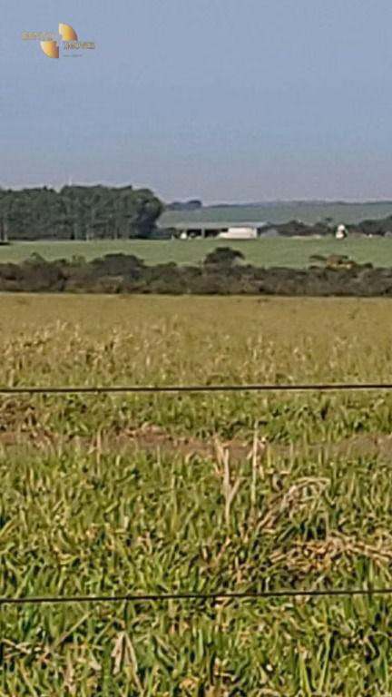 Fazenda de 2.733 ha em Canarana, MT