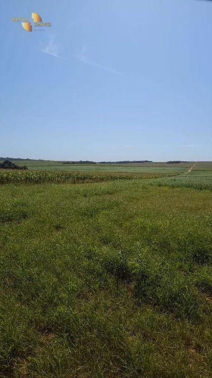 Fazenda de 2.733 ha em Canarana, MT