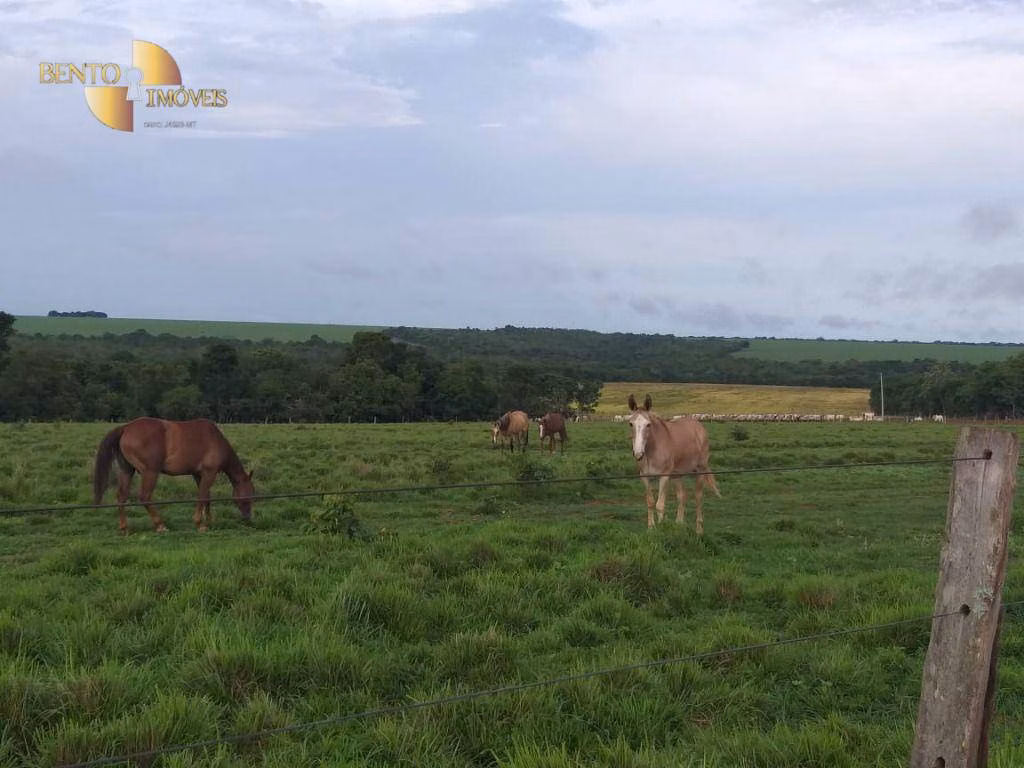 Fazenda de 2.733 ha em Canarana, MT