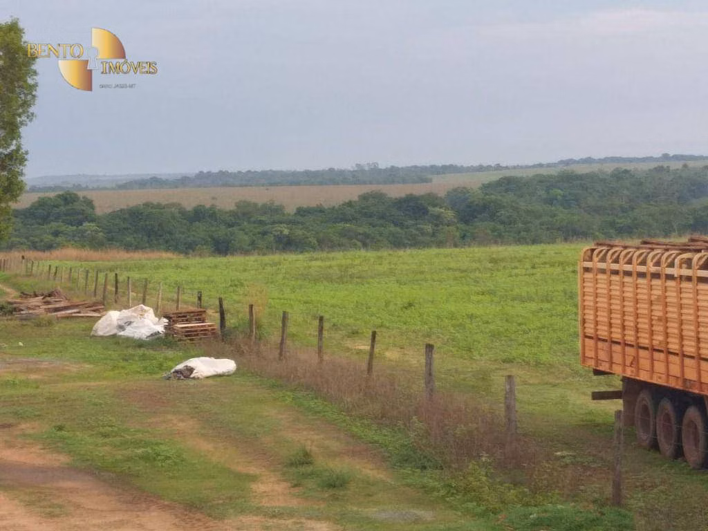 Fazenda de 2.733 ha em Canarana, MT