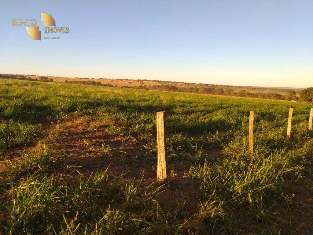 Fazenda de 2.733 ha em Canarana, MT
