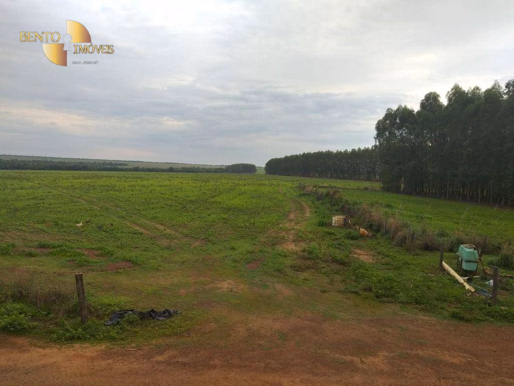 Fazenda de 2.733 ha em Canarana, MT