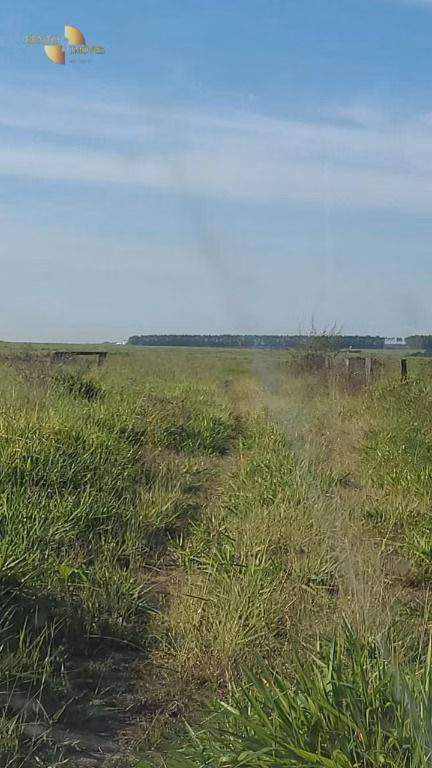 Fazenda de 2.733 ha em Canarana, MT