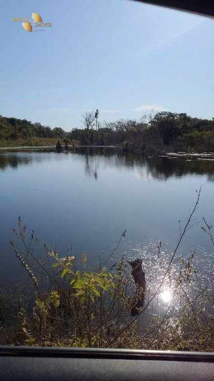 Fazenda de 2.733 ha em Canarana, MT