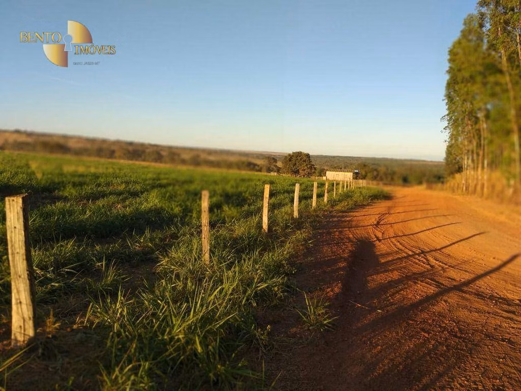 Fazenda de 2.733 ha em Canarana, MT
