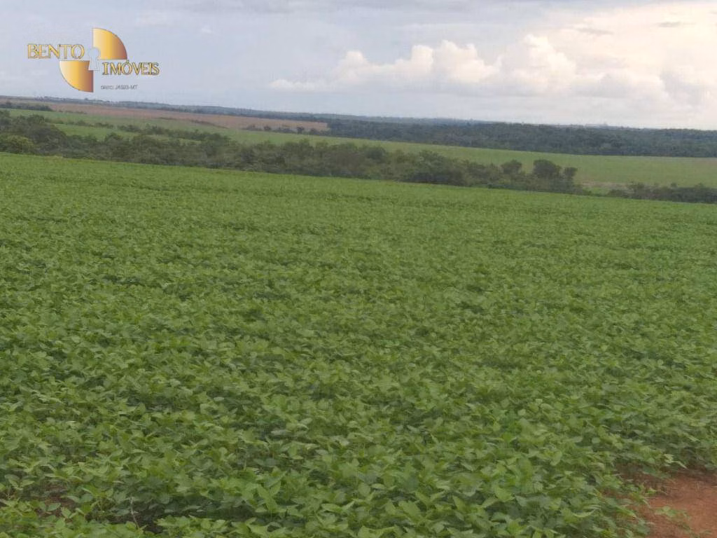Fazenda de 2.733 ha em Canarana, MT