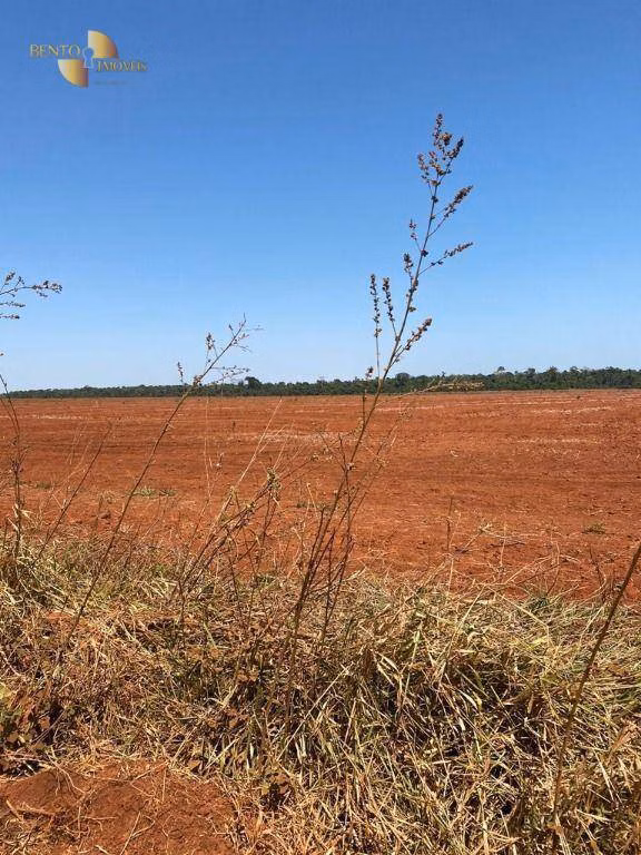 Fazenda de 8.300 ha em Comodoro, MT