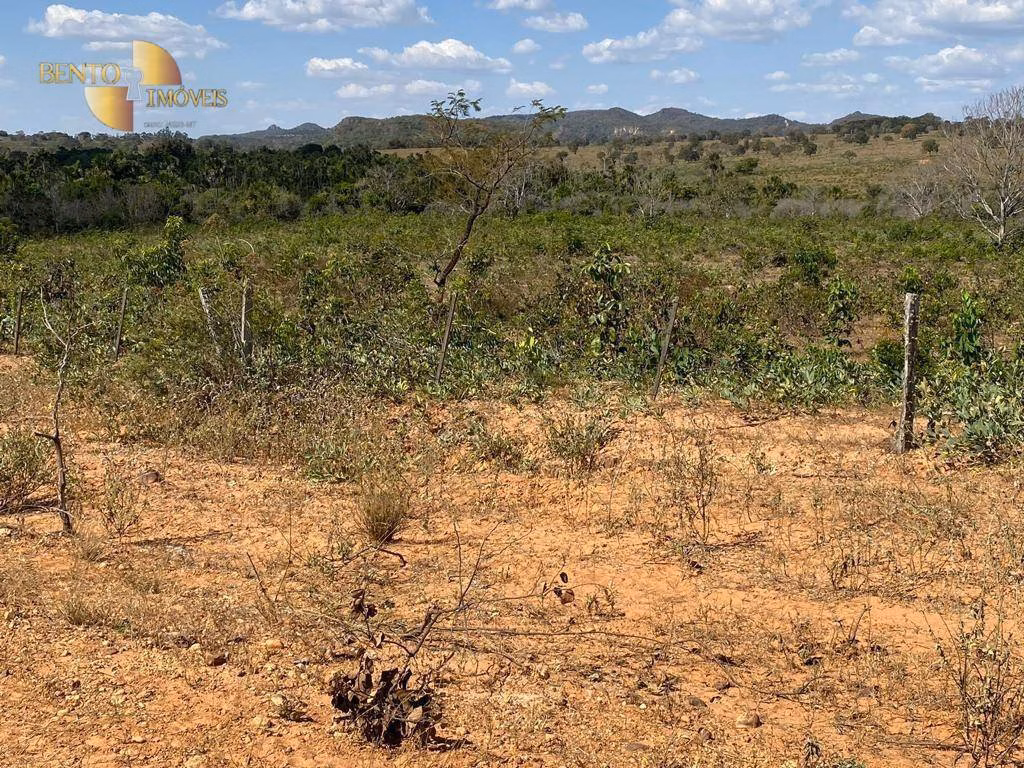 Fazenda de 732 ha em Alto Araguaia, MT