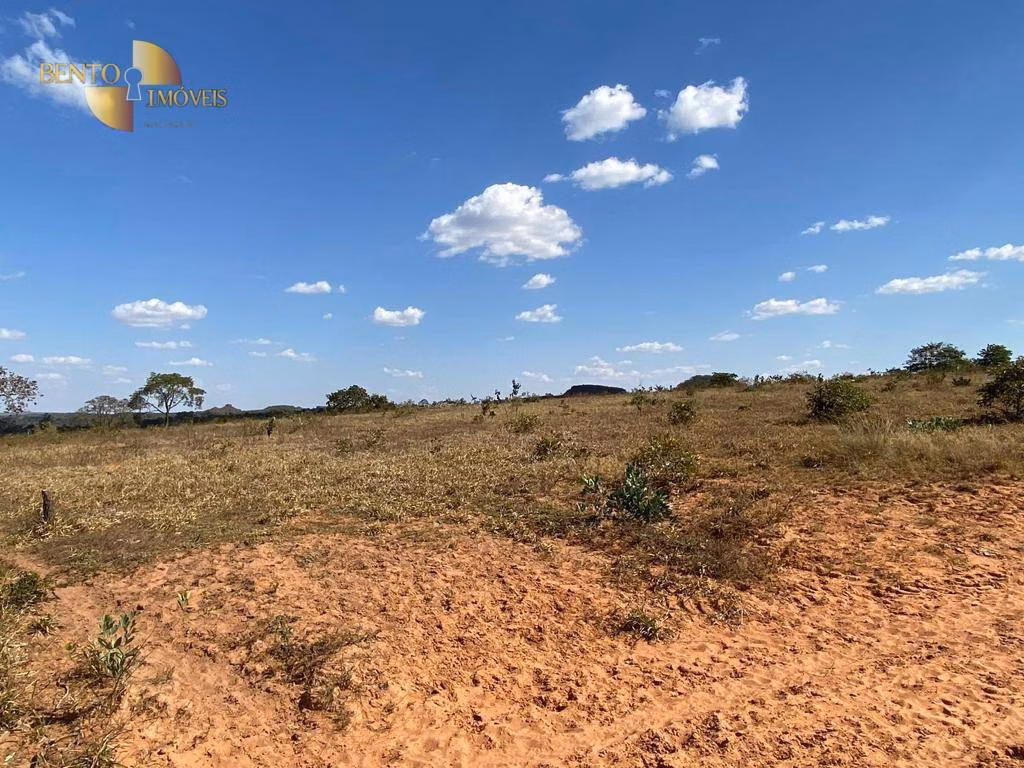 Fazenda de 732 ha em Alto Araguaia, MT