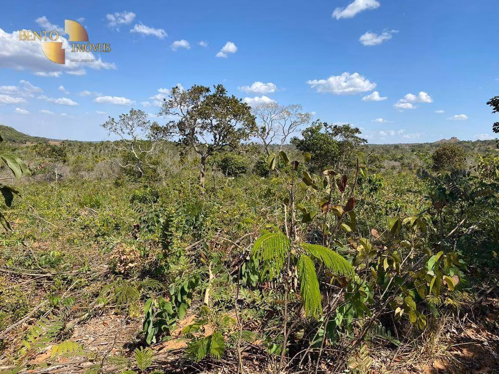 Fazenda de 732 ha em Alto Araguaia, MT