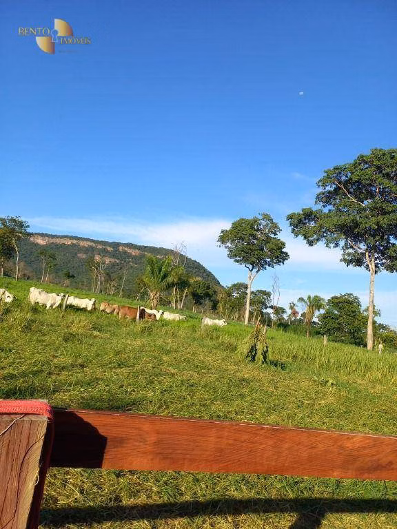 Small farm of 35 acres in Cáceres, MT, Brazil