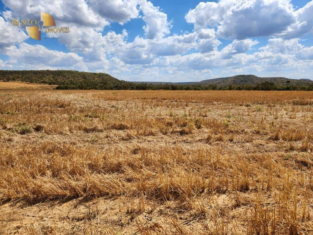 Farm of 5,550 acres in Paranatinga, MT, Brazil