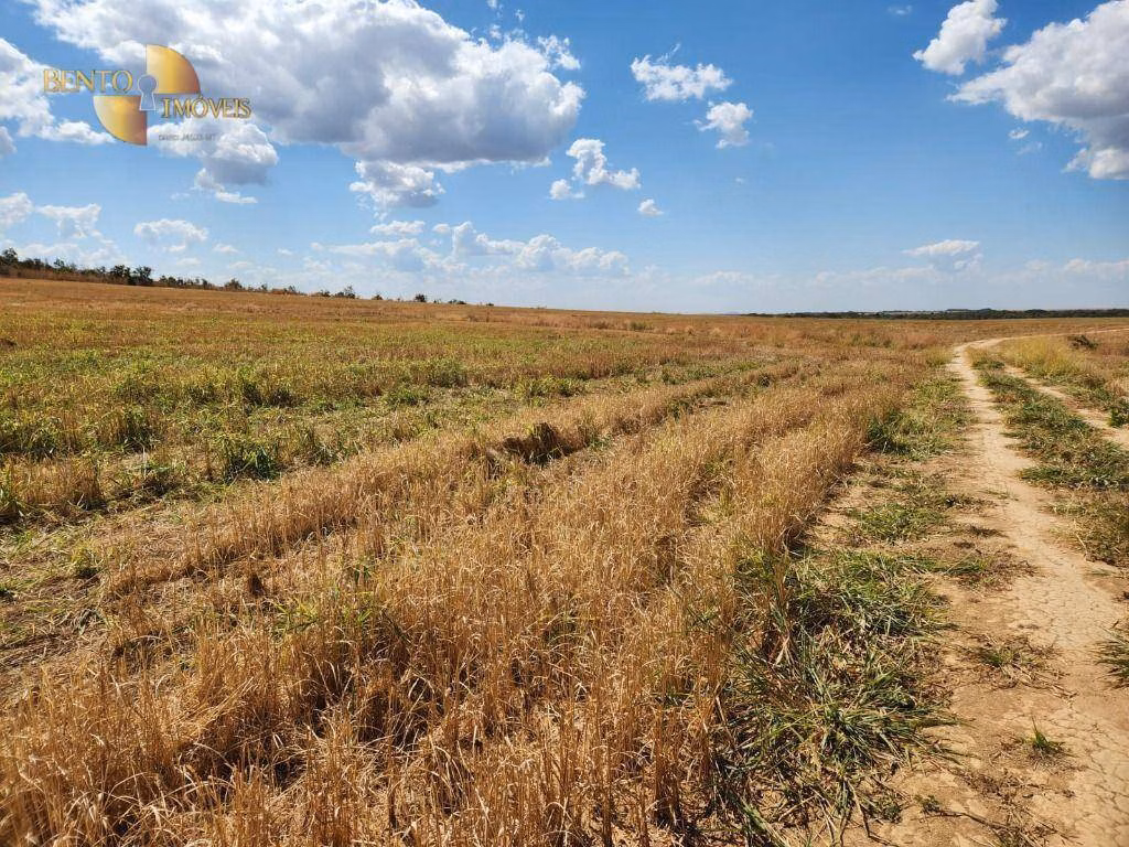 Farm of 5,550 acres in Paranatinga, MT, Brazil