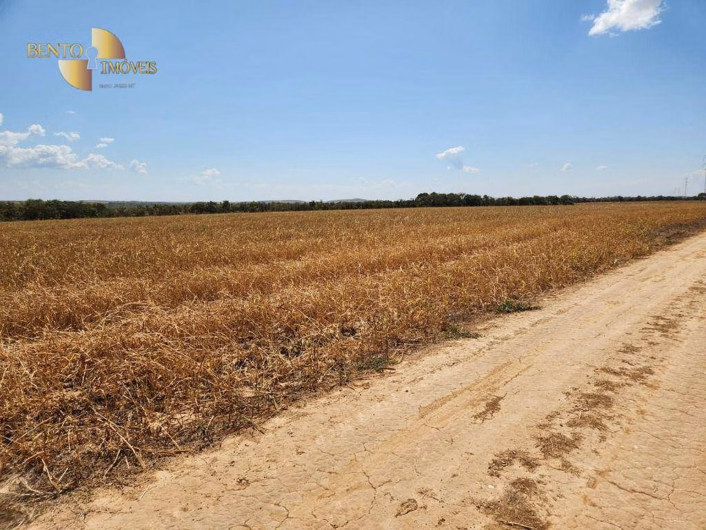 Farm of 5,550 acres in Paranatinga, MT, Brazil