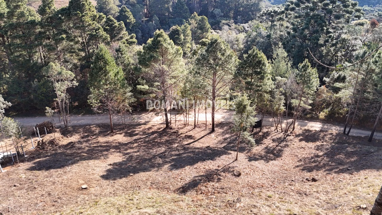 Plot of 1,150 m² in Campos do Jordão, SP, Brazil